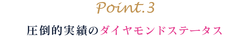 point3-圧倒的実績のダイヤモンドステータス