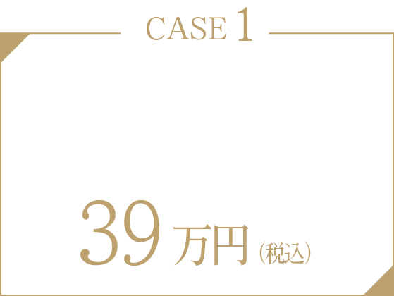 CASE1-軽度タイプ（ステージ14枚まで）39万円（税込）